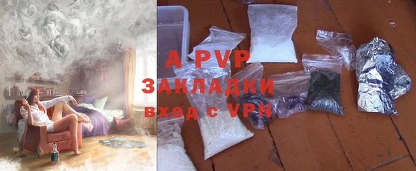 прущие грибы Бикин