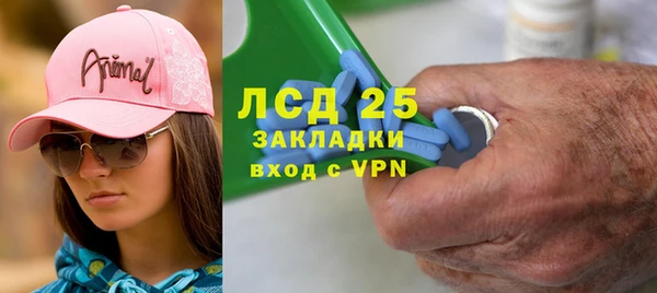 прущие грибы Аша