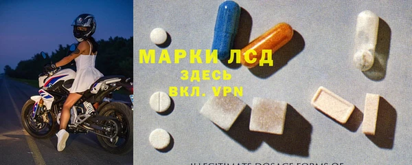 прущие грибы Бикин