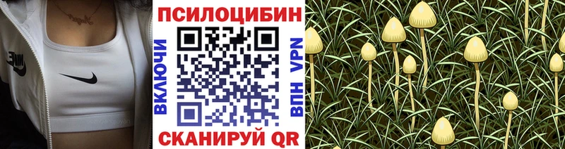 Псилоцибиновые грибы Psilocybine cubensis  даркнет сайт  ОМГ ОМГ зеркало  Карабаш 